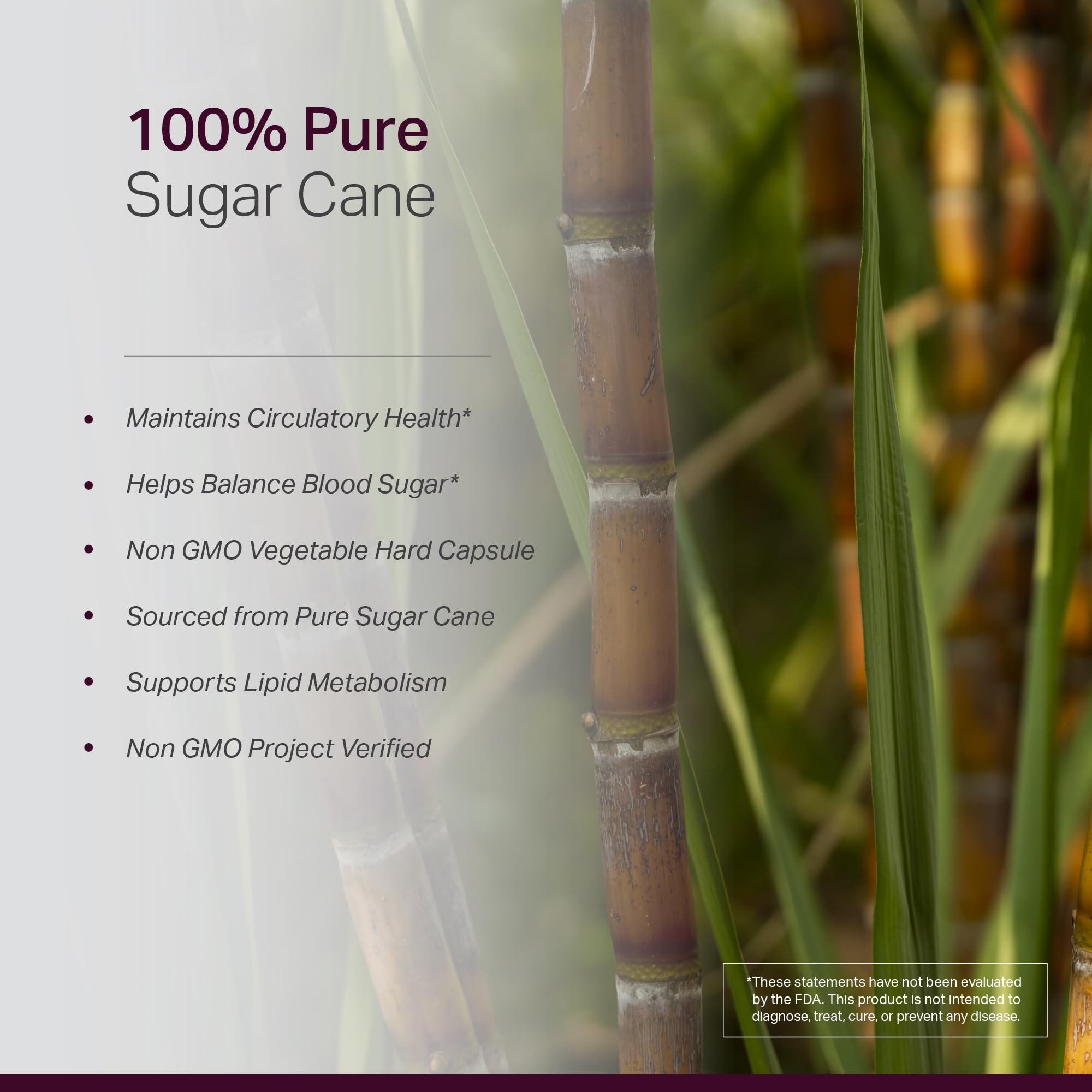 Anew Vita Policosanol produced in the USA with quality and safety assurance.