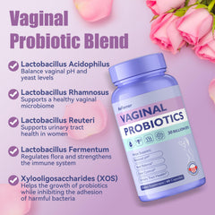 AnFamer four Lactobacillus strains blend illustrating vaginal flora support.