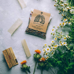 Anima Mundi Mugwort leaf detail supporting calming ceremonial practice.