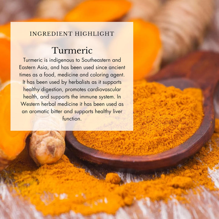Echinacea roots highlighted in Anima Mundi Cold's & Flu Tonic for immune harmony.