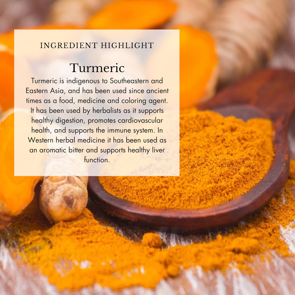 Echinacea roots highlighted in Anima Mundi Cold's & Flu Tonic for immune harmony.