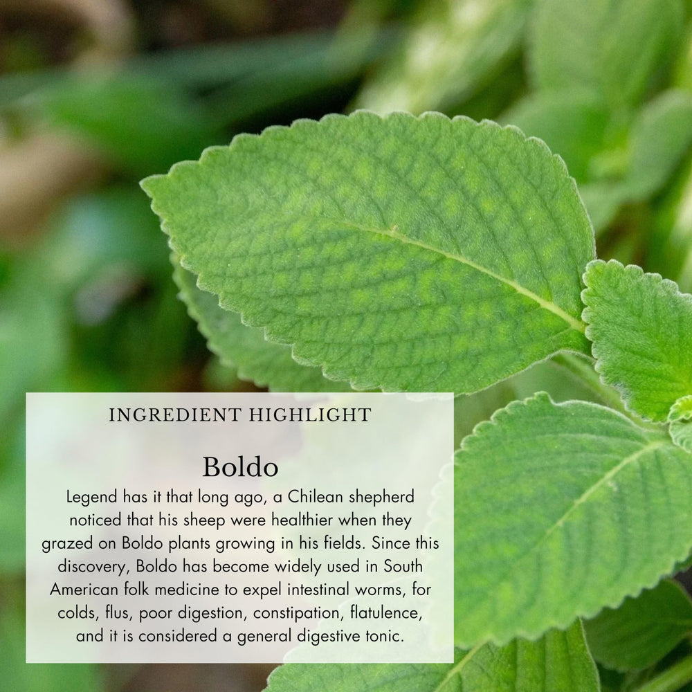 Garlic and other botanicals in Anima Mundi Cold's & Flu Tonic for vitality.