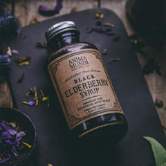 Anima Mundi Cordyceps and mushrooms ingredients closeup