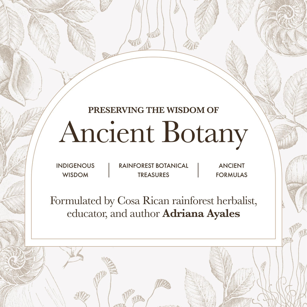 Anima Mundi Cordyceps powder label closeup emphasizing organic sourcing and purity