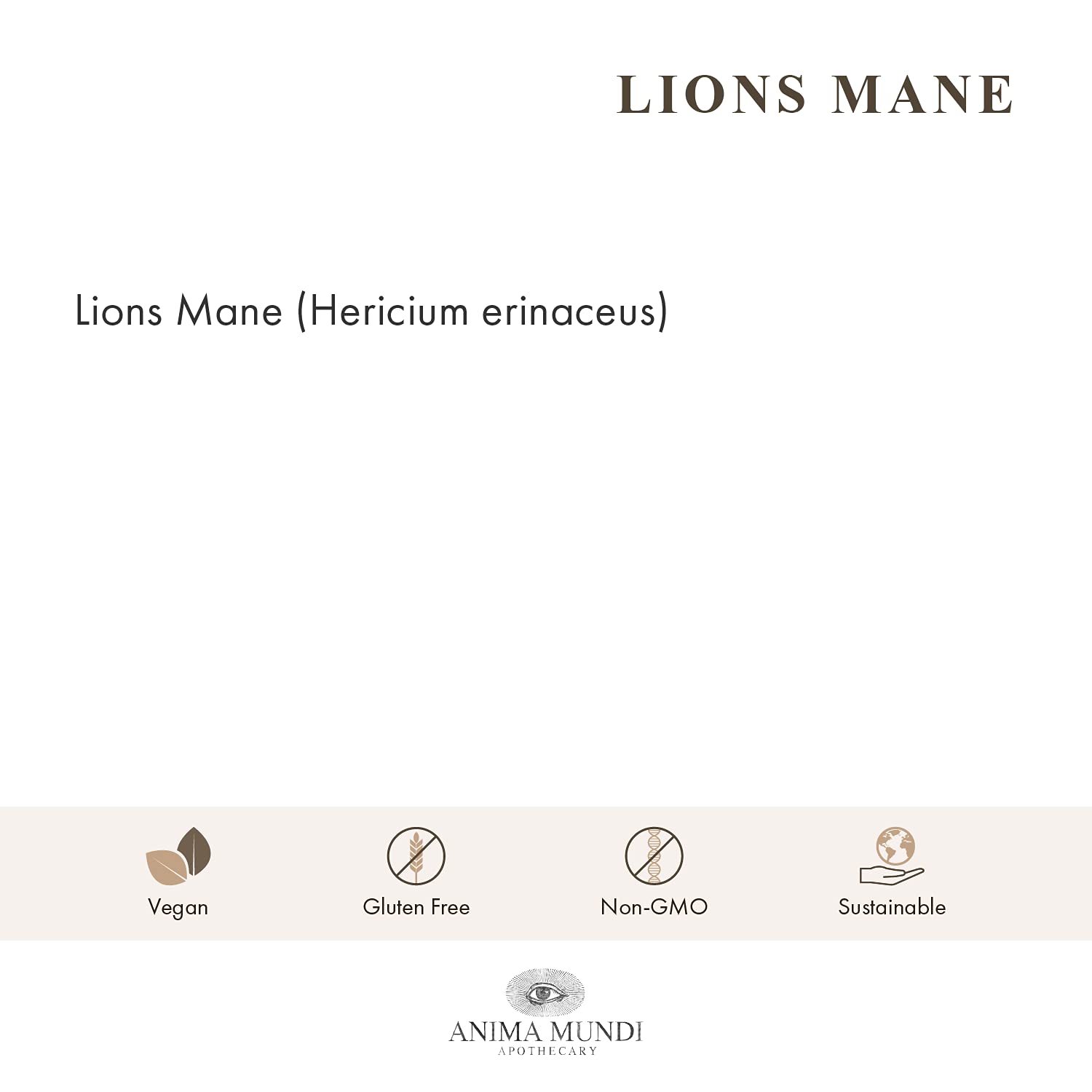 Anima Mundi Lions Mane powder jar showing full-spectrum extract for cognitive support.