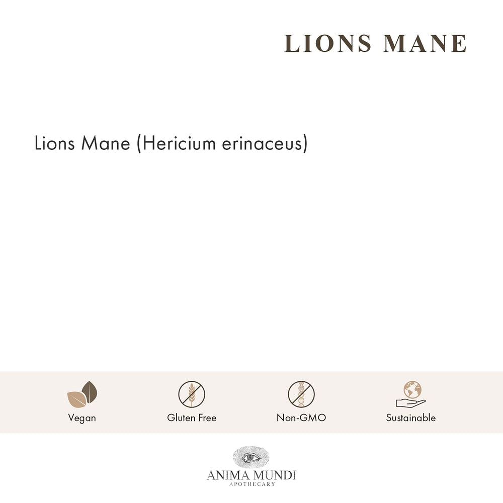 Anima Mundi Lions Mane powder jar showing full-spectrum extract for cognitive support.