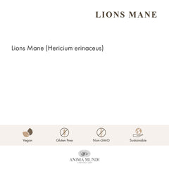 Anima Mundi Lions Mane powder jar showing full-spectrum extract for cognitive support.