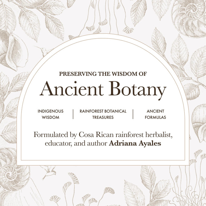 Anima Mundi Rose and Schisandra close-up communicates wildcrafted ingredients and herbal luxury.