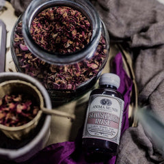 Anima Mundi Schisandra Rose Petals close-up showing floral notes and mood balance.
