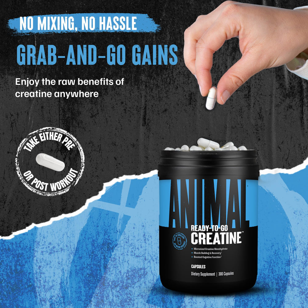 GMP-certified Animal Creatine Capsules with third-party testing badge for safety.