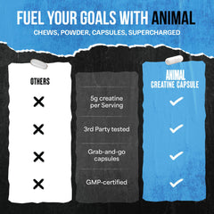 Gym bag scene showing Animal Creatine Capsules for on-the-go training support.
