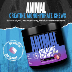 Animal Creatine Chews grape tablets, tasty dose on the go for gains.