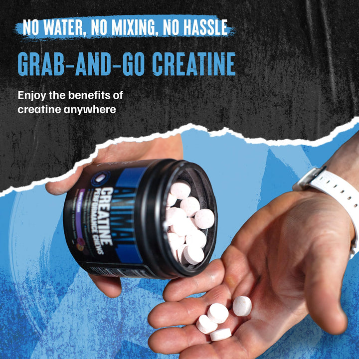 Animal Creatine Chews travel-friendly tub fits gym bags on the go.