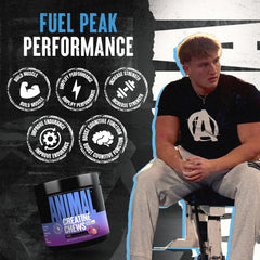 Animal Creatine Chews label closeup, transparent GMP-tested quality and potency.