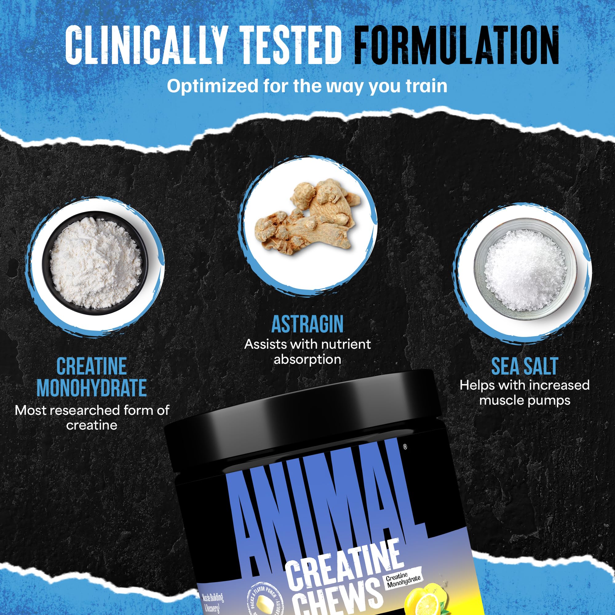 Animal Creatine Chews Lemon Ice tablets held in hand for quick chews.