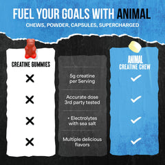 Animal Creatine Chews Lemon Ice tub label highlighting AstraGin and sea salt formula for absorption.