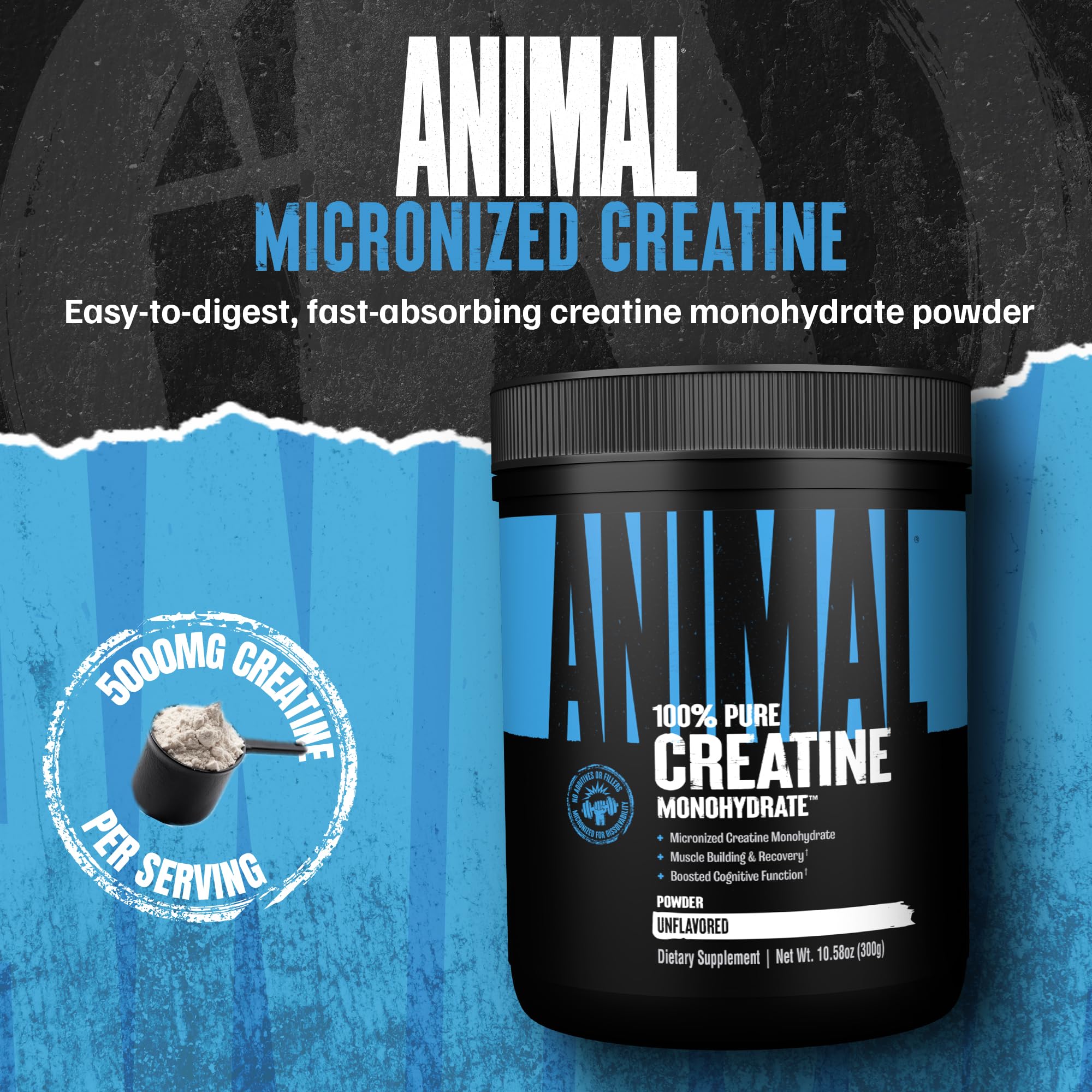 Animal Creatine Monohydrate scoop shows a 5g serving for daily use.