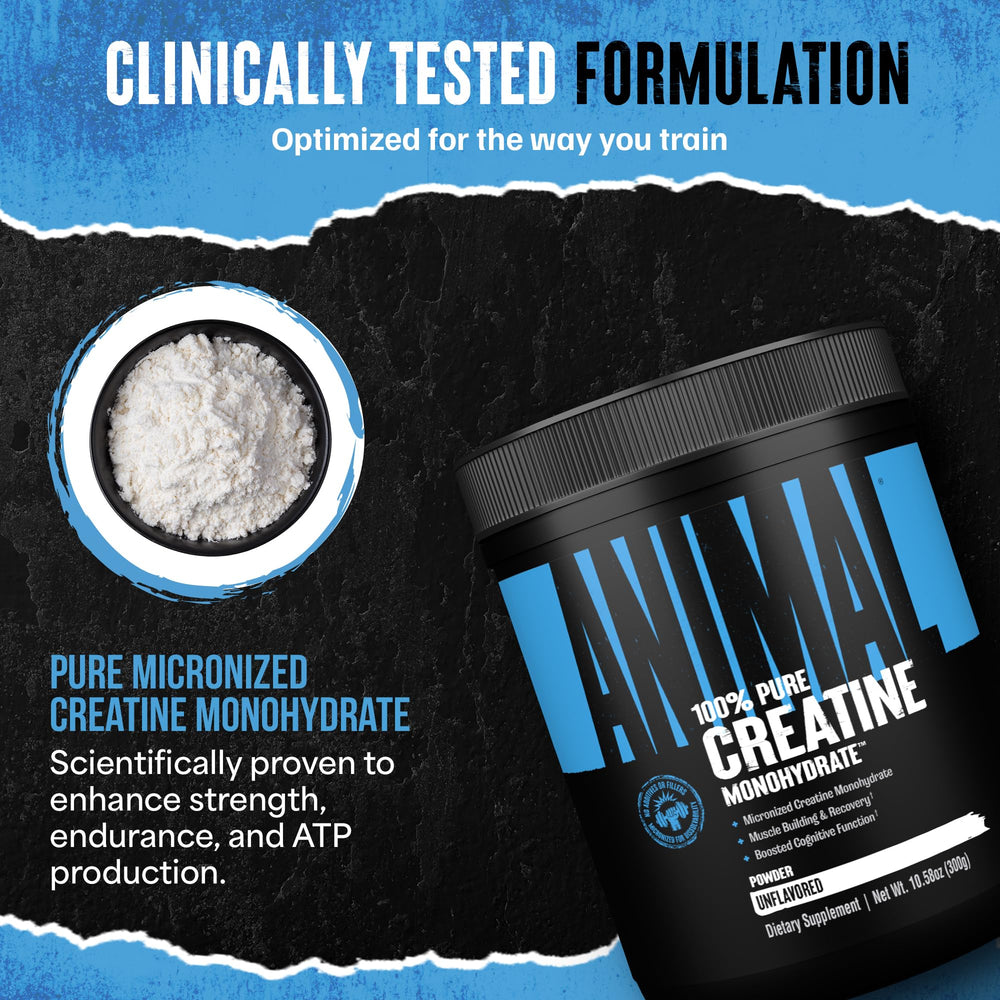 Animal Creatine Monohydrate powder in a shaker ready for pre or post-workout.
