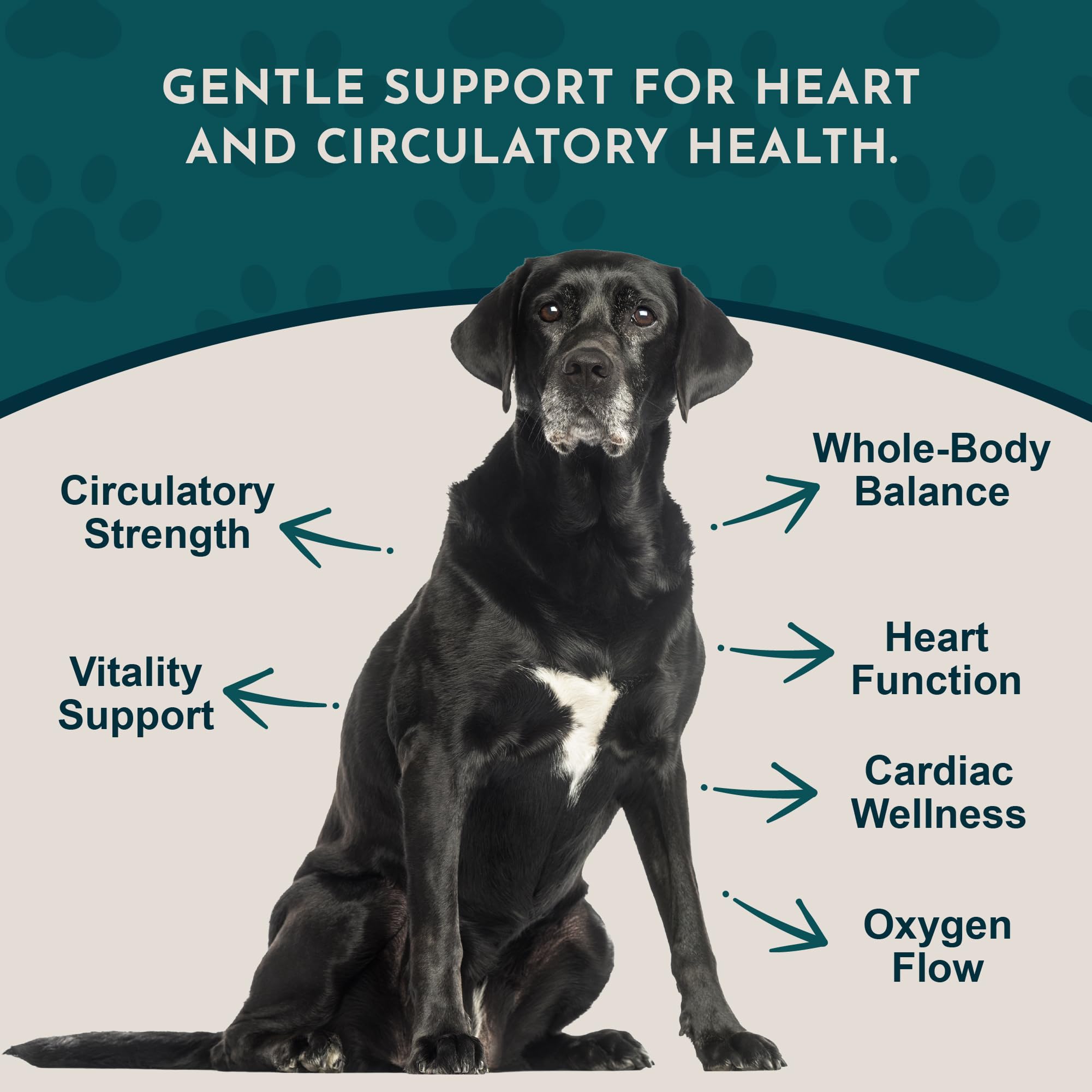 Close-up of Animal Essentials Hawthorn Berry label highlighting organic ingredients.