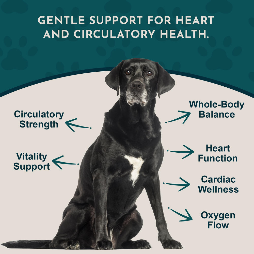 Close-up of Animal Essentials Hawthorn Berry label highlighting organic ingredients.