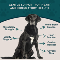Close-up of Animal Essentials Hawthorn Berry label highlighting organic ingredients.