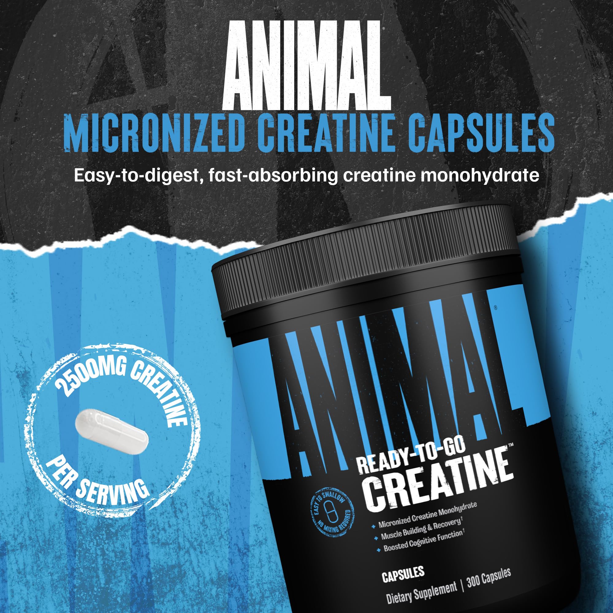 Close-up of Animal packaging signals trusted quality and potency for workouts.