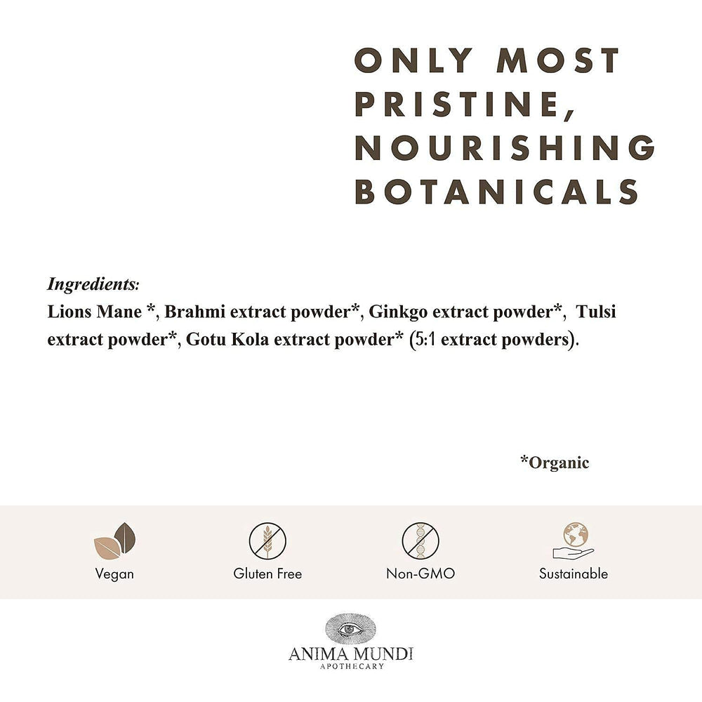 Anima Mundi Brain Tonic ingredients with Lion's Mane and Ginkgo highlighted for focus