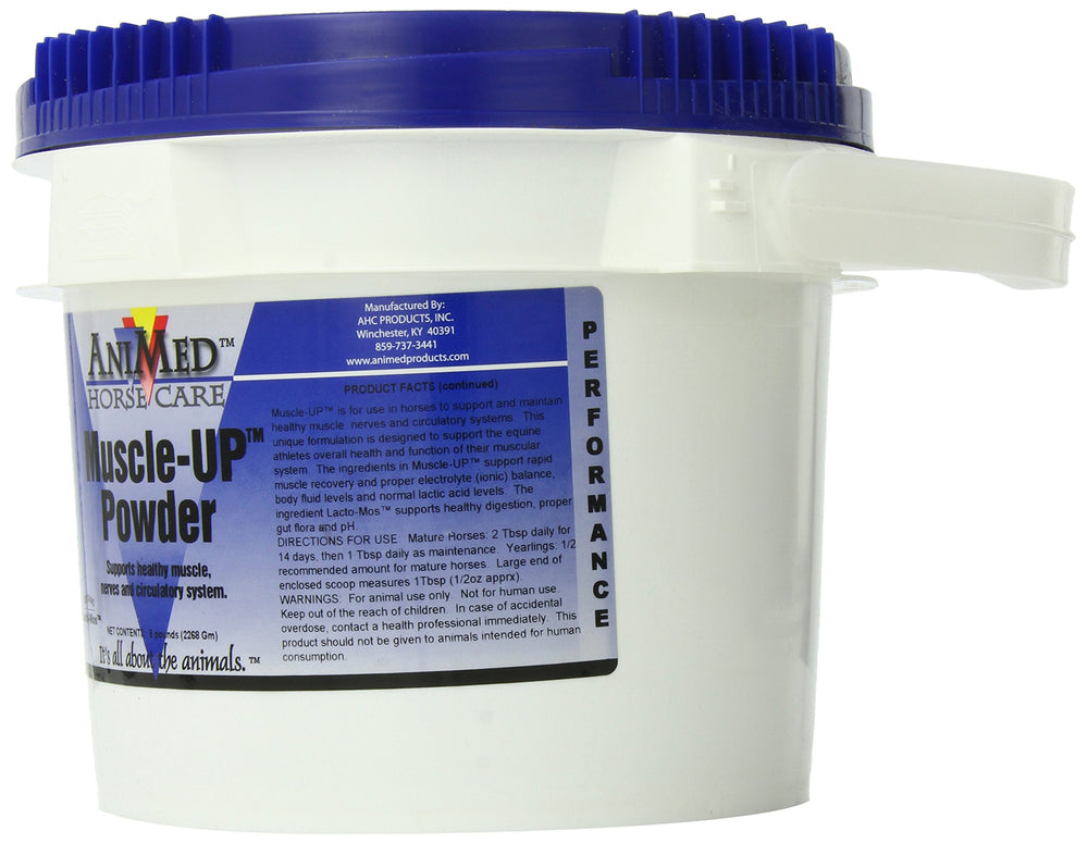 ANIMED MuscleUp Powder close-up label highlighting vitamins for daily muscular support.