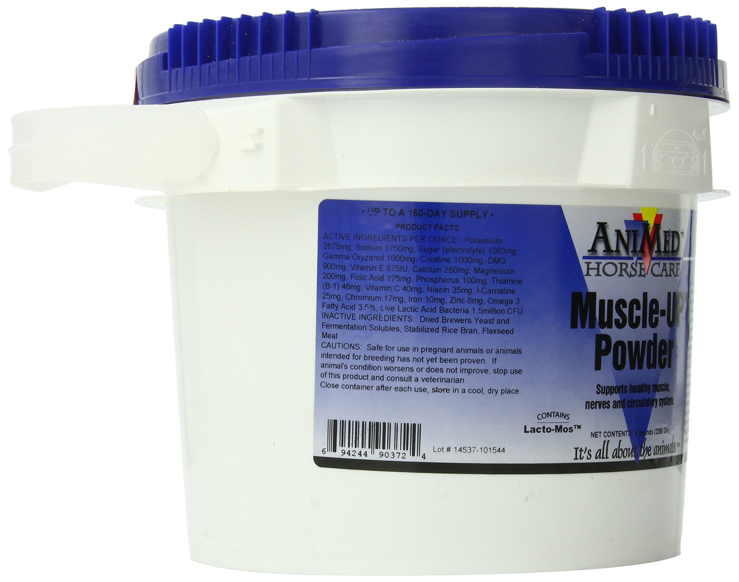 ANIMED MuscleUp Powder bottle and shaker demonstrating easy mixing for steady energy.