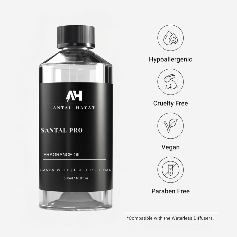 ANTAL HAYAT Santal notes create warm, cozy spaces