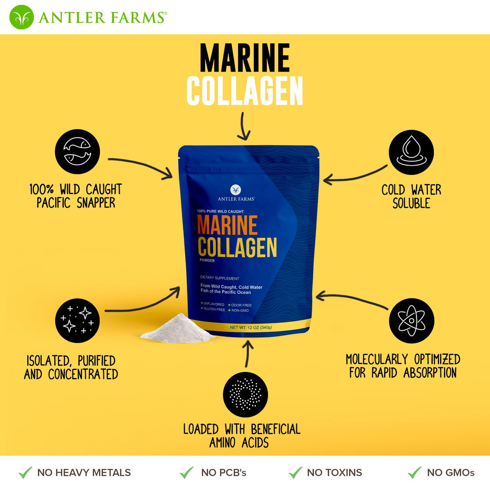 Antler Farms Marine Collagen blending in cold liquid, smooth in smoothies