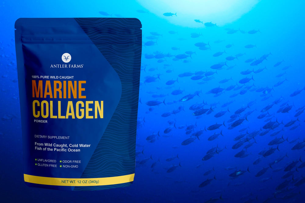 Antler Farms Marine Collagen dissolving in hot liquid, blends into coffee or tea