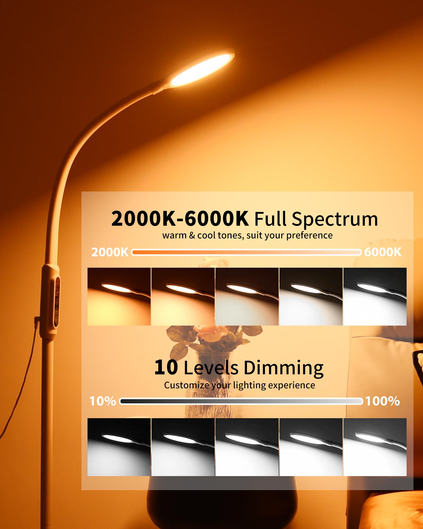 Aoife lamp color temperature options tailor room ambiance.
