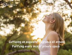 AOPING Douglas Fir diffuser-setup evokes cold forest freshness and clarity.