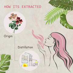 AOPING Geranium oil dropper bottle for easy blending and dosing.