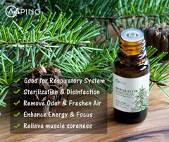 AOPING Pine Needles essential oil diffuser-setup for a calming forest ambience.