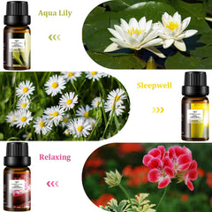AP Airpleasure English Violet bottle for uplifting floral ambience