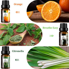 ap airpleasure Refresh citronella oil bottle ideal for outdoor use