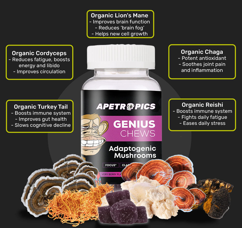 Apetropics Genius Chews bottle opened showing gummies ready for daily use