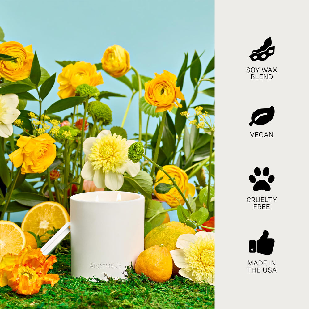 APOTHEKE candle in a living room adds cozy, inviting atmosphere