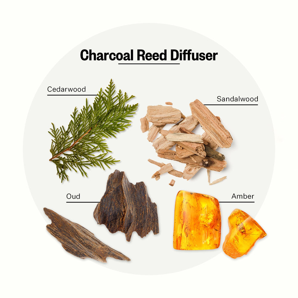 APOTHEKE Charcoal reed sticks (10-pack) to adjust fragrance levels in any room.