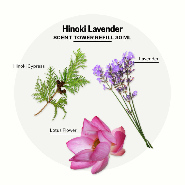 Hinoki Lavender notes create a calming atmosphere for home and office.