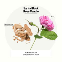 APOTHEKE Santal Rock Rose candle with wood vessel complements modern decor.