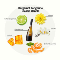 APOTHEKE Bergamot Tangerine candle wax closeup highlighting soy blend