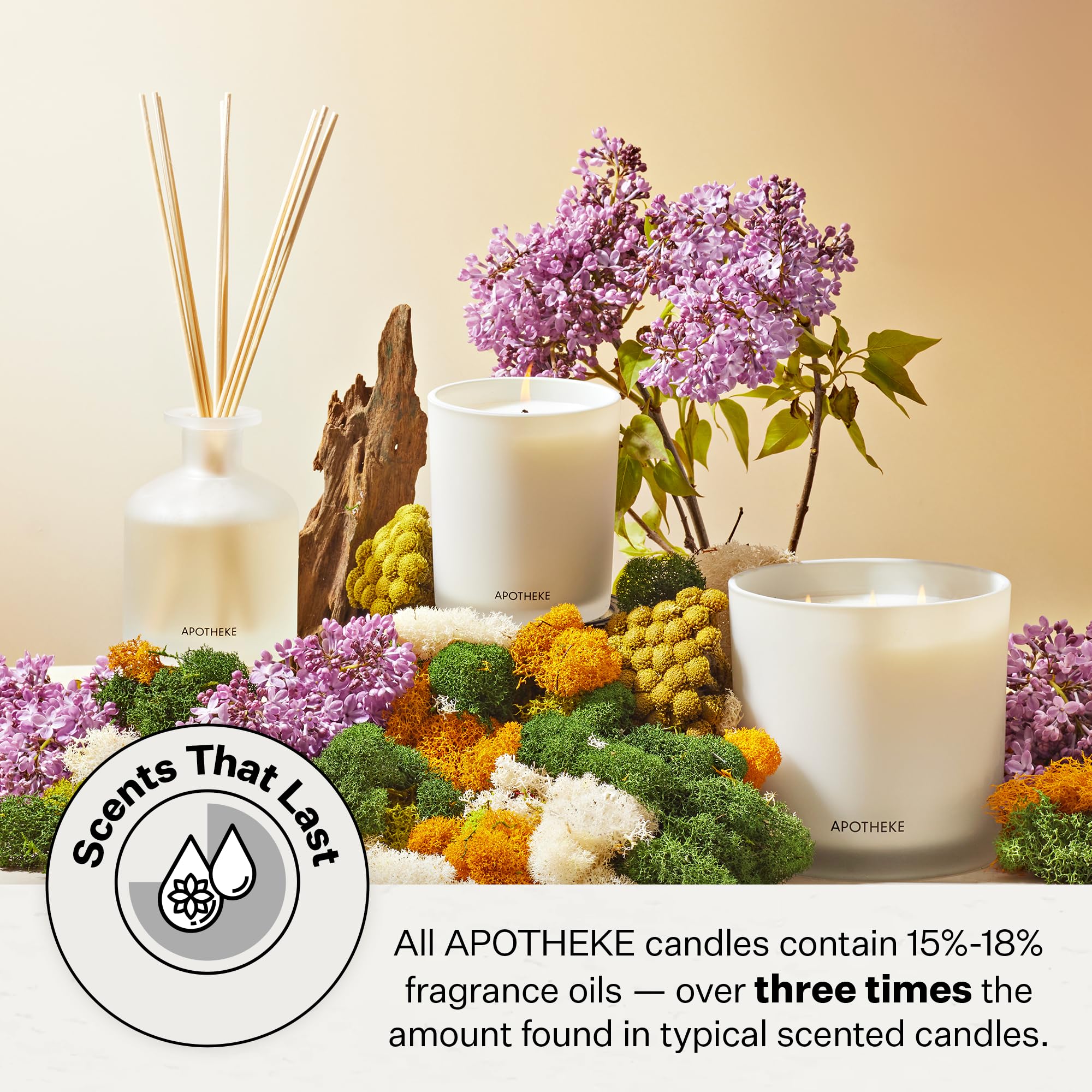 APOTHEKE Magnolia candle flame demonstrates steady burn.