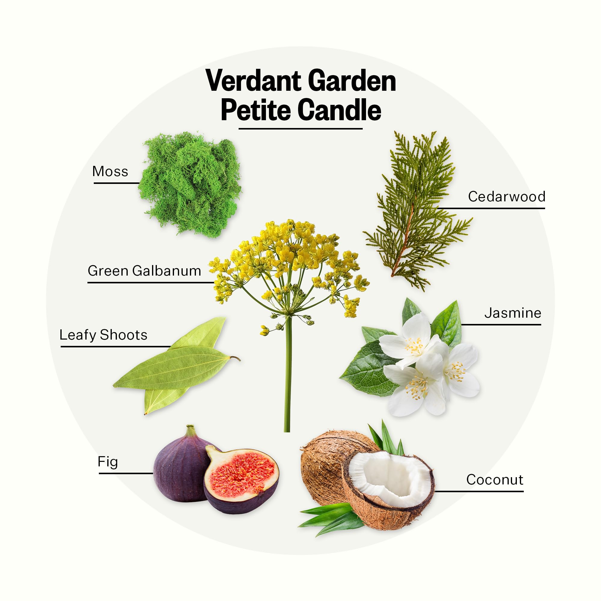 APOTHEKE Verdant Garden close-up reveals moss and fig notes enhancing room ambience