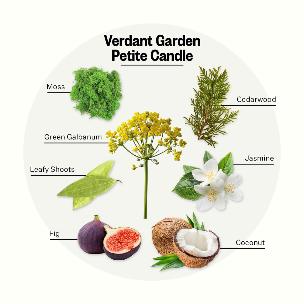 APOTHEKE Verdant Garden close-up reveals moss and fig notes enhancing room ambience