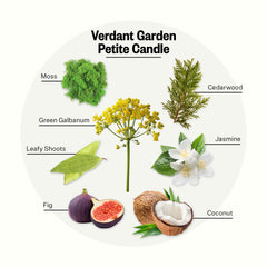 APOTHEKE Verdant Garden close-up reveals moss and fig notes enhancing room ambience