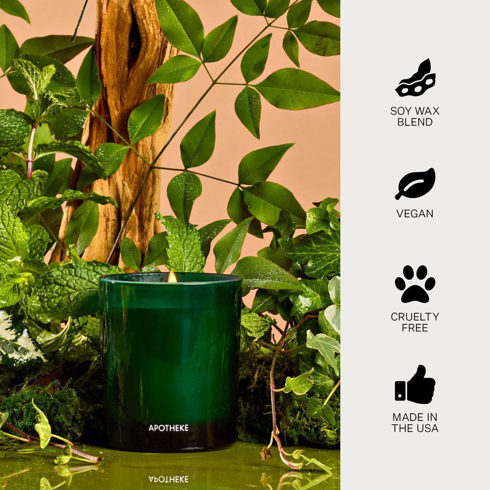 APOTHEKE Wild Mint & Ivy candle in living room adds refined fragrance