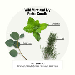 APOTHEKE Wild Mint & Ivy candle jar lit delivers mood-enhancing ambience